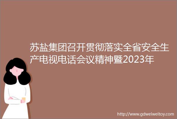 苏盐集团召开贯彻落实全省安全生产电视电话会议精神暨2023年第二次安委会扩大会议
