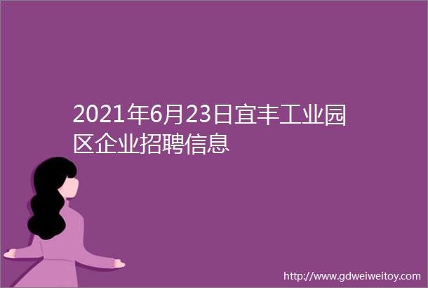 2021年6月23日宜丰工业园区企业招聘信息