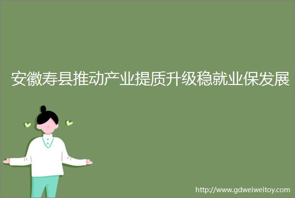 安徽寿县推动产业提质升级稳就业保发展