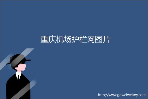 重庆机场护栏网图片