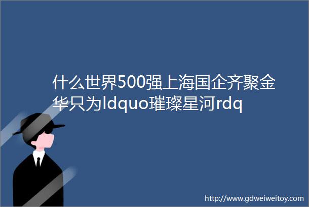 什么世界500强上海国企齐聚金华只为ldquo璀璨星河rdquo