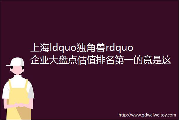 上海ldquo独角兽rdquo企业大盘点估值排名第一的竟是这家公司
