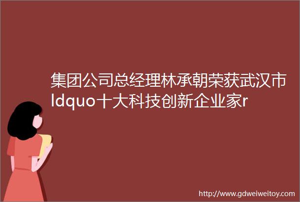 集团公司总经理林承朝荣获武汉市ldquo十大科技创新企业家rdquo称号