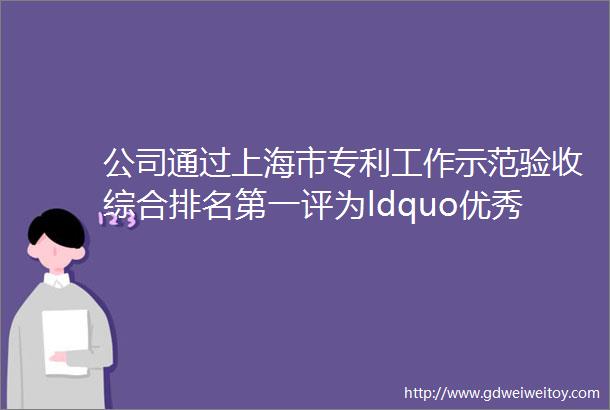 公司通过上海市专利工作示范验收综合排名第一评为ldquo优秀rdquo