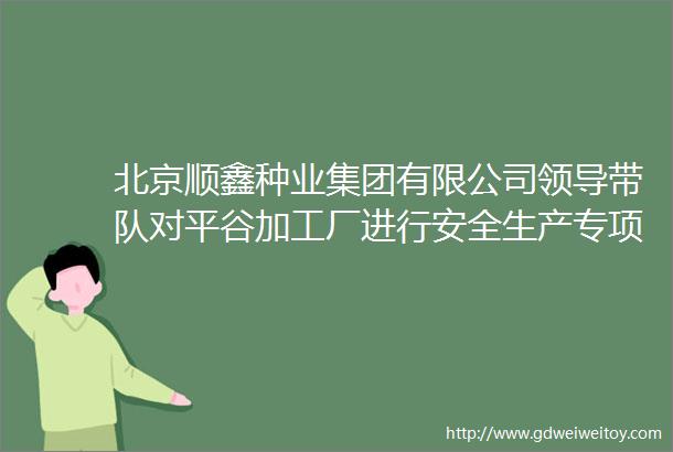 北京顺鑫种业集团有限公司领导带队对平谷加工厂进行安全生产专项检查