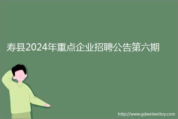 寿县2024年重点企业招聘公告第六期