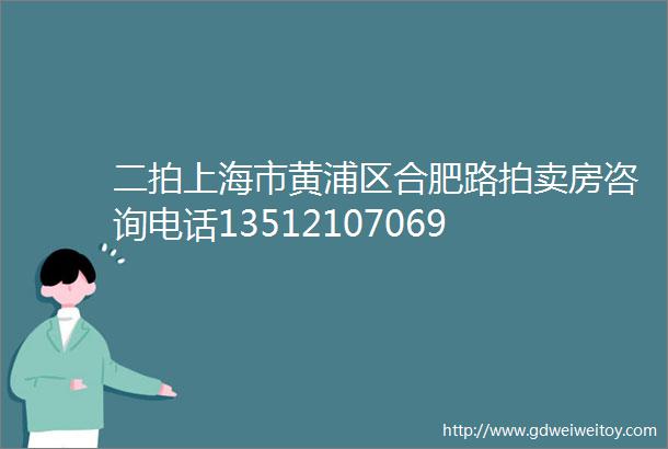 二拍上海市黄浦区合肥路拍卖房咨询电话13512107069